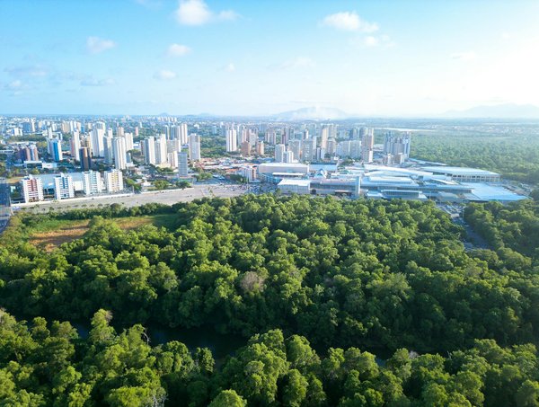 Foire Littéraire : Un Voyage Inoubliable à Travers les Livres et la Lecture