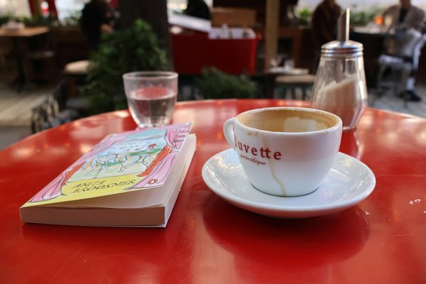 L'ours en roses : un choix écoresponsable pour vos cadeaux